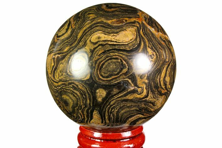 Polished Stromatolite (Greysonia) Sphere - Bolivia #113555